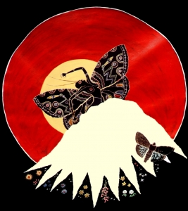 Bogon moth